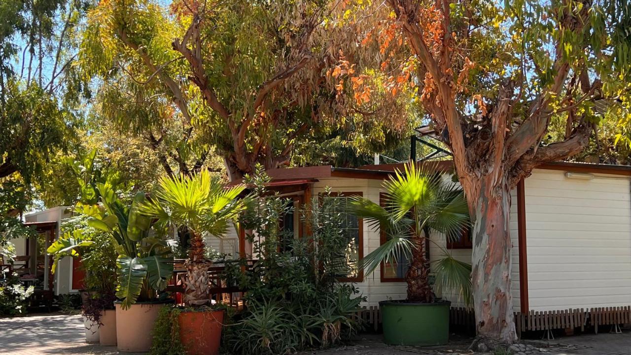 Villaggio Dei Fiori سانريمو المظهر الخارجي الصورة